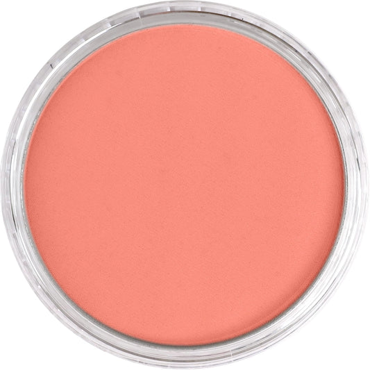 PanPastel Vermilion Medium 310.6