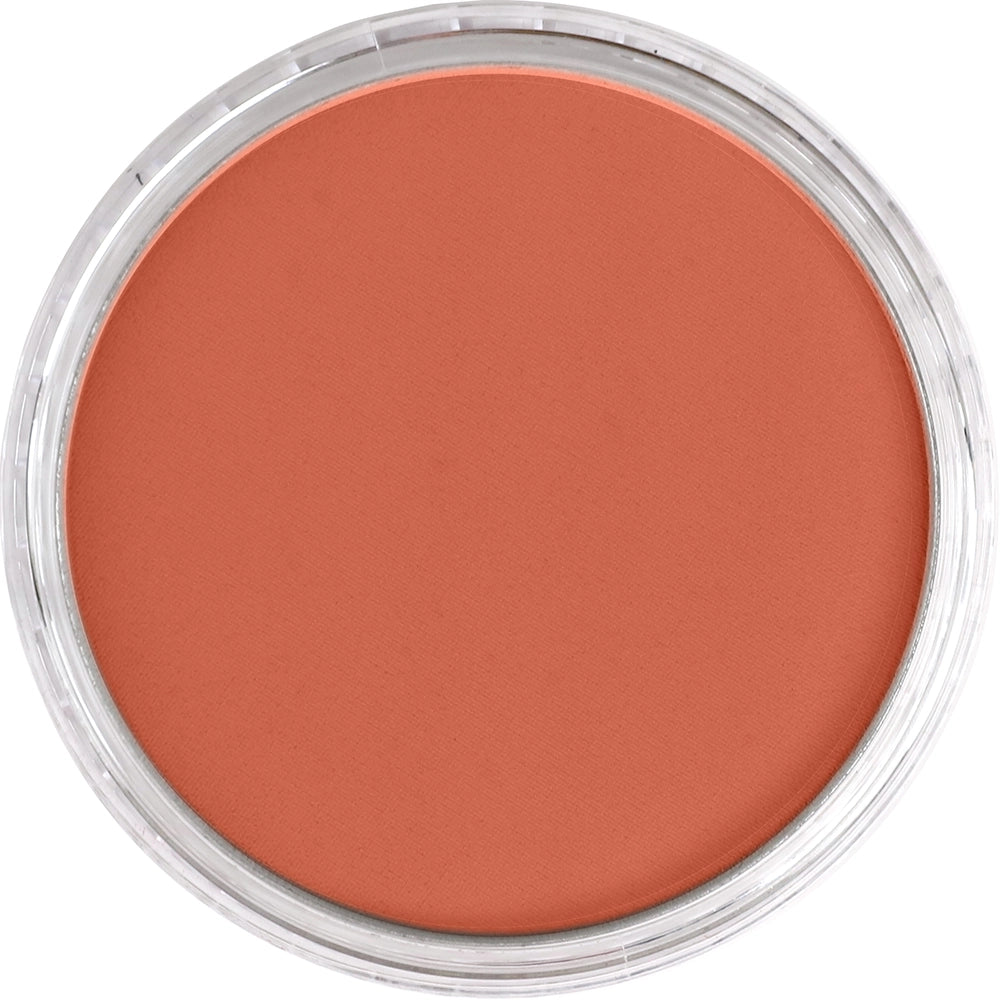 PanPastel Red Iron Oxide Light 380.7