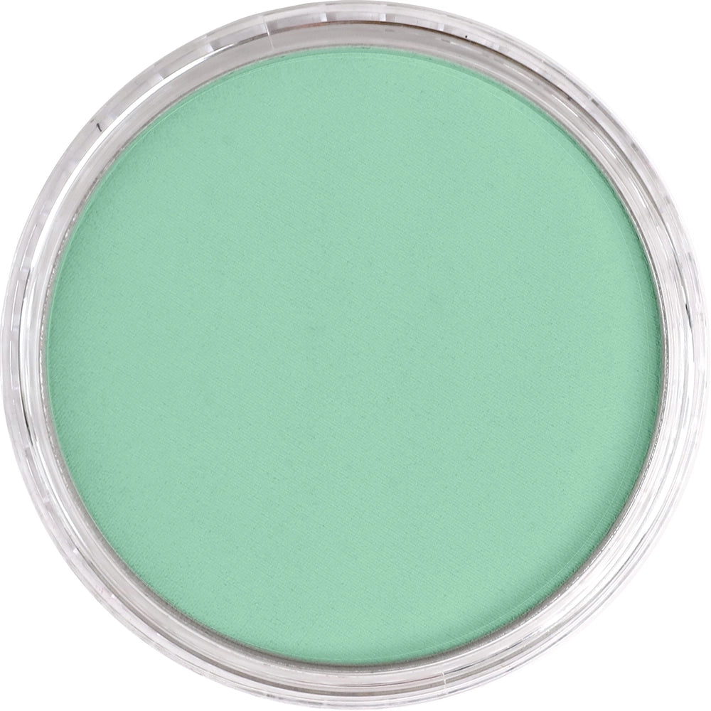 PanPastel Permanent Green Light 640.7