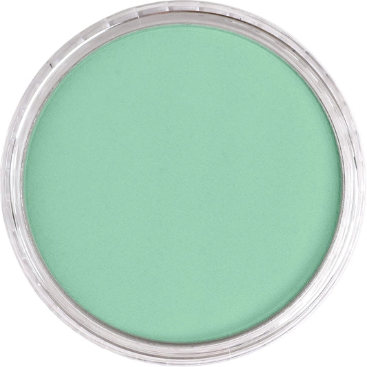 PanPastel Permanent Green Light 640.7