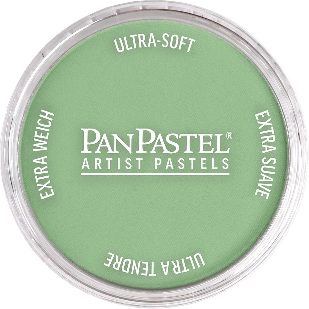 PanPastel Chromium Oxide Green Light 660.7
