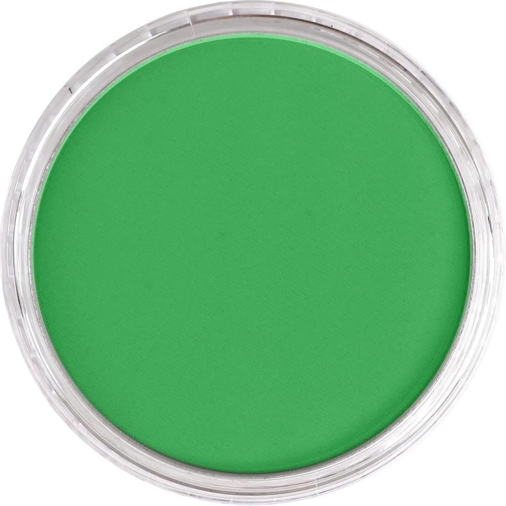 PanPastel Blue Green 670.5