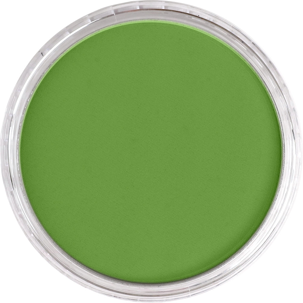 PanPastel Yellow Green Shade 690.3