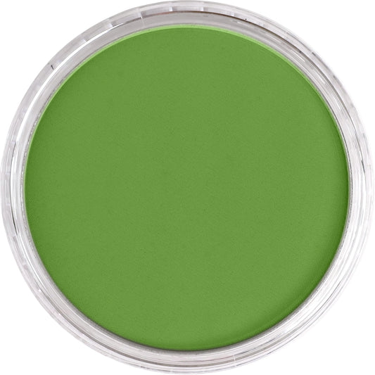 PanPastel Yellow Green Shade 690.3
