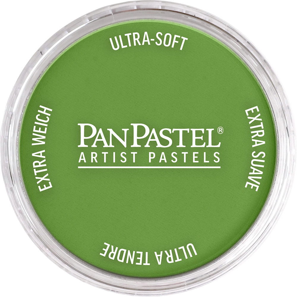 PanPastel Yellow Green Shade 690.3
