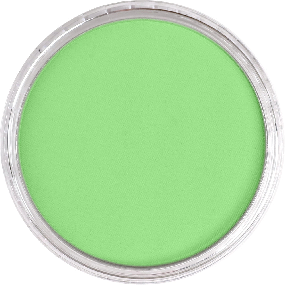 PanPastel Yellow Green Light 690.7