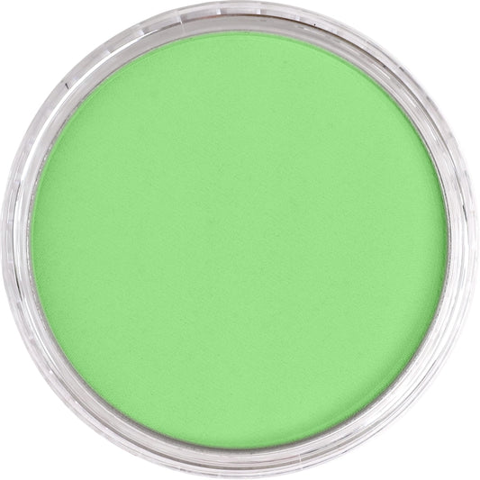 PanPastel Yellow Green Light 690.7