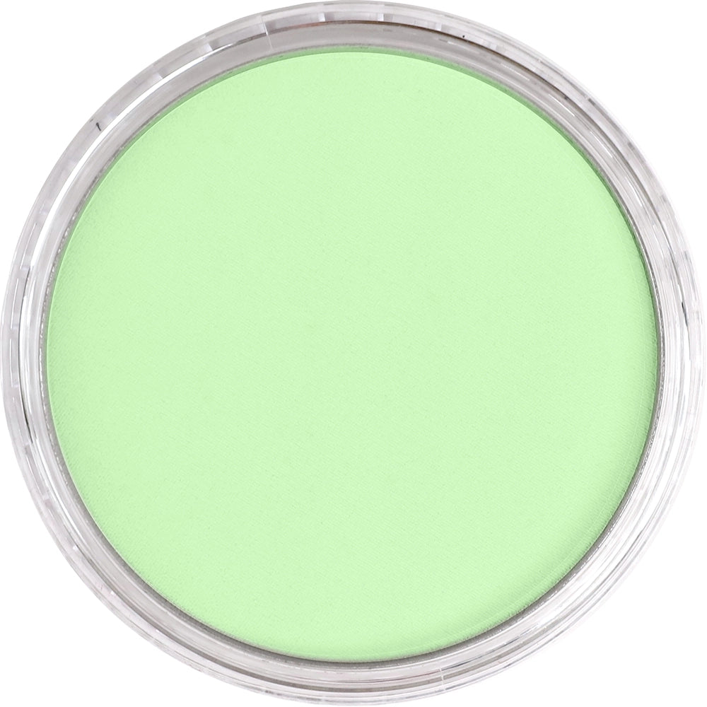 PanPastel Yellow Green Tint 690.8