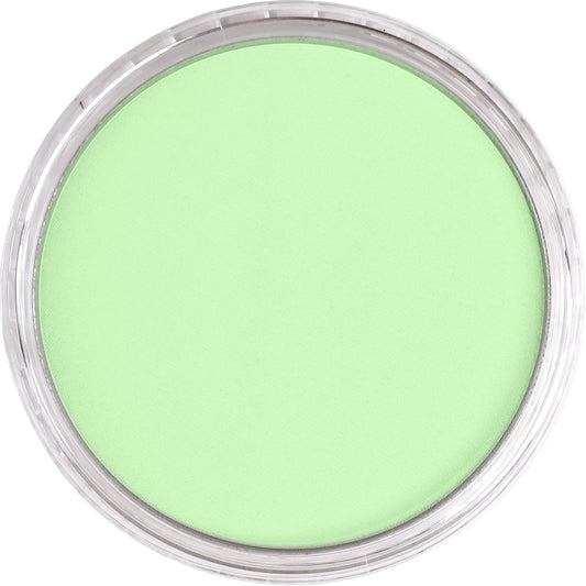 PanPastel Yellow Green Tint 690.8