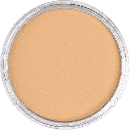 PanPastel Raw Sienna Light 710.7