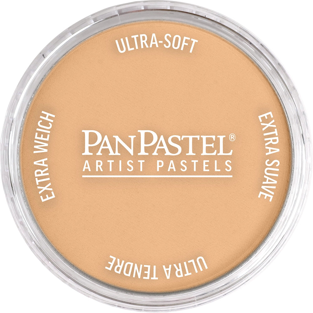 PanPastel Raw Sienna Light 710.7