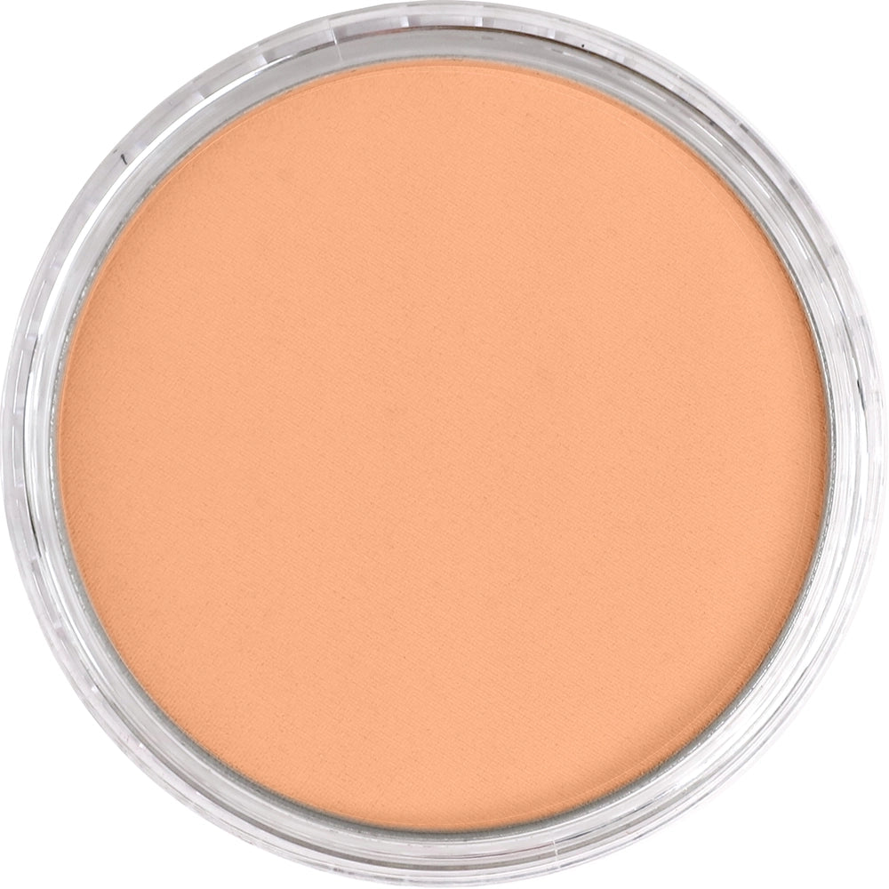 PanPastel Burnt Sienna Light 740.7