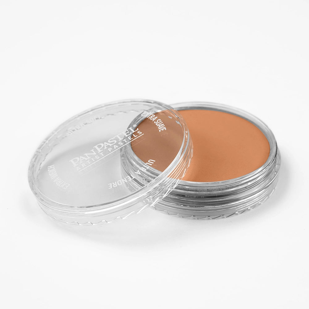 PanPastel Burnt Sienna Light 740.7