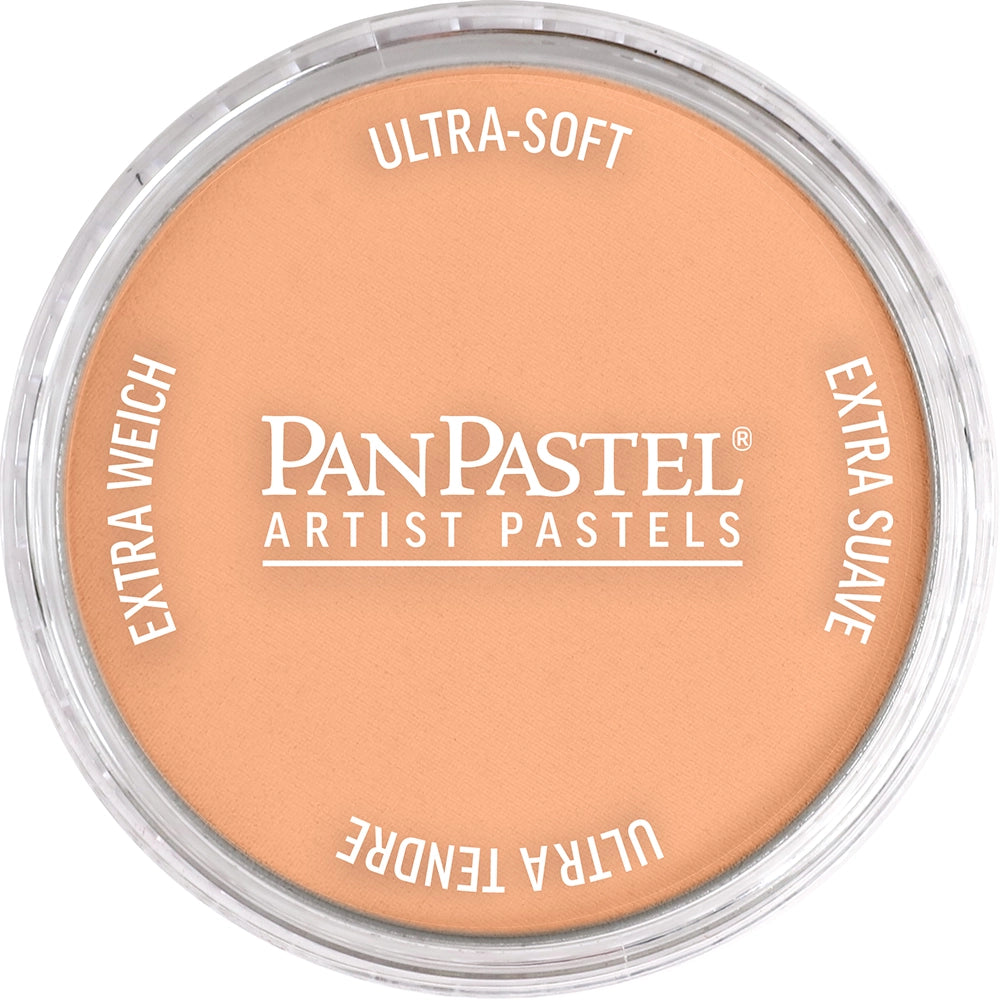 PanPastel Burnt Sienna Light 740.7