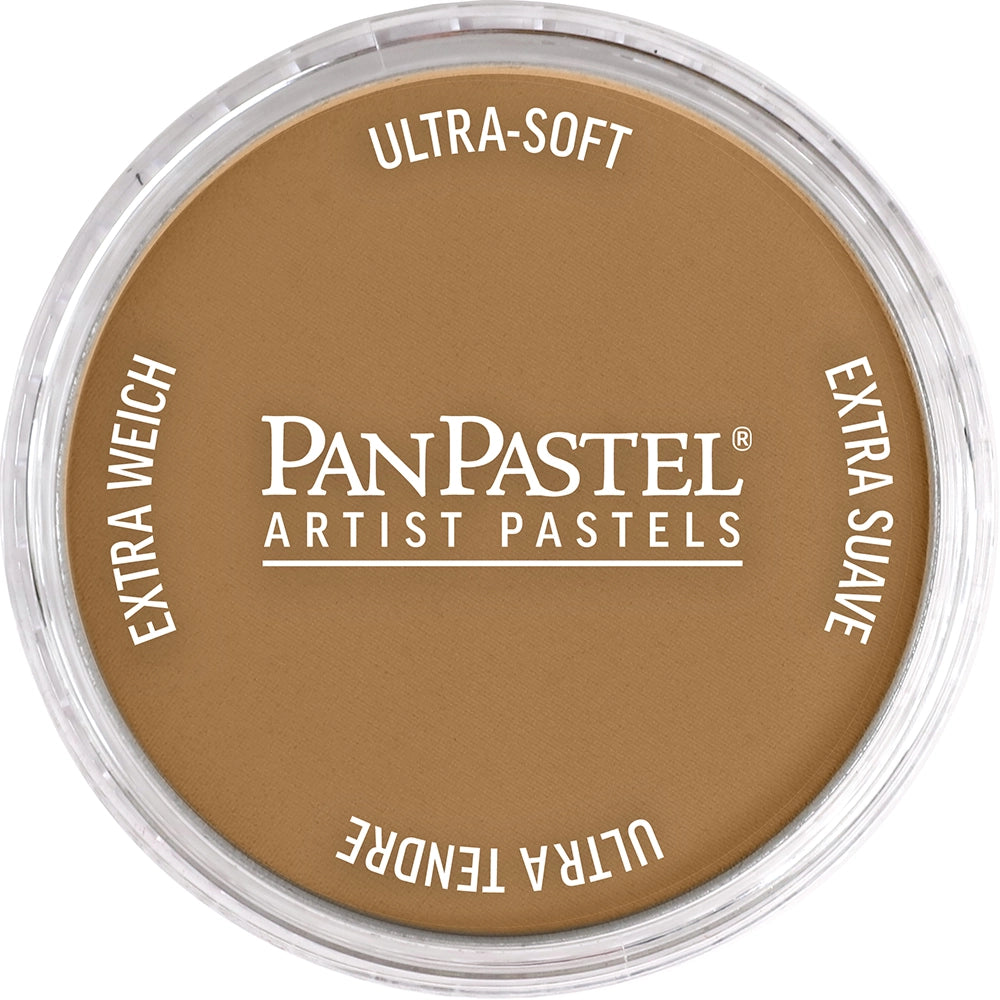 PanPastel Burnt Umber Medium 760.6