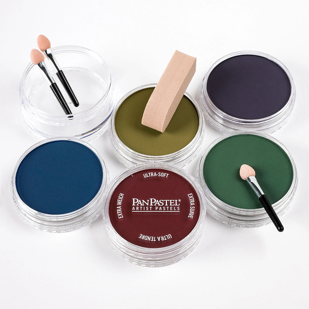 PanPastel 5 Extra Dark Shades 1 Lid Set