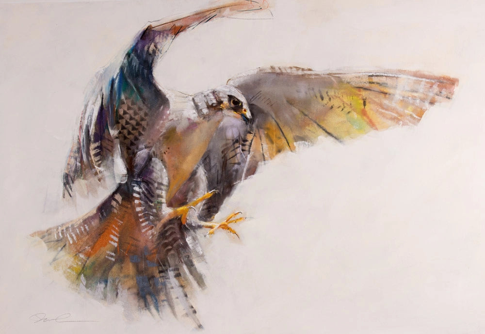 PanPastel 40 Dawn Emerson Collection Set