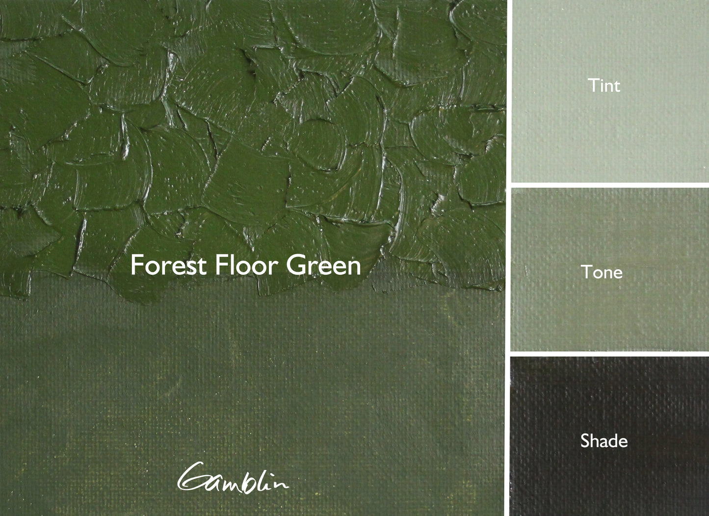 Gamblin Artist Oil 37ml Series 2 Forest Floor Green