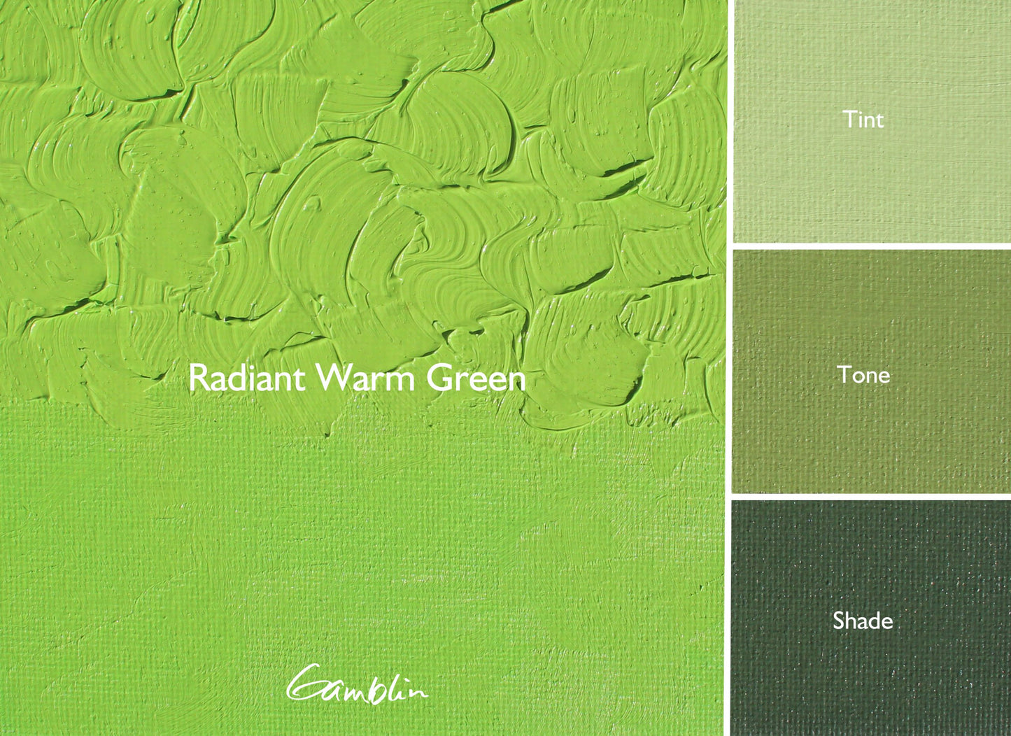 Gamblin Artist Oil 37ml Series 2 Radiant Warm Green