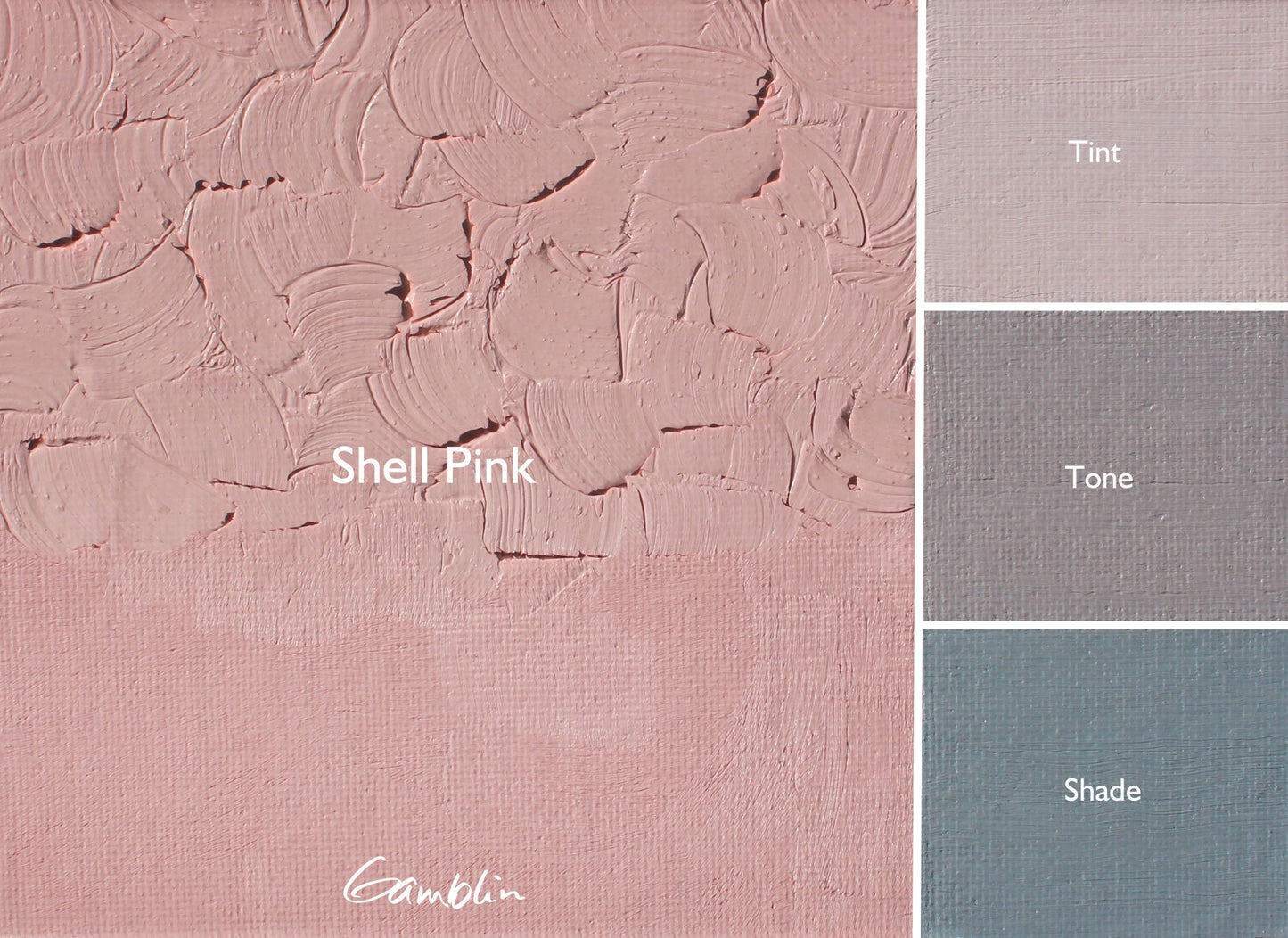 Gamblin Artist Oil 37ml Series 2 Shell Pink