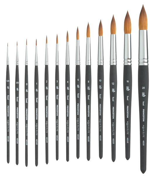 Princeton Aqua Elite 4850 Round Size 6