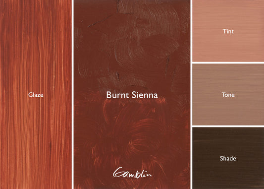Gamblin Artist Oil 37ml Series 1 Burnt Sienna