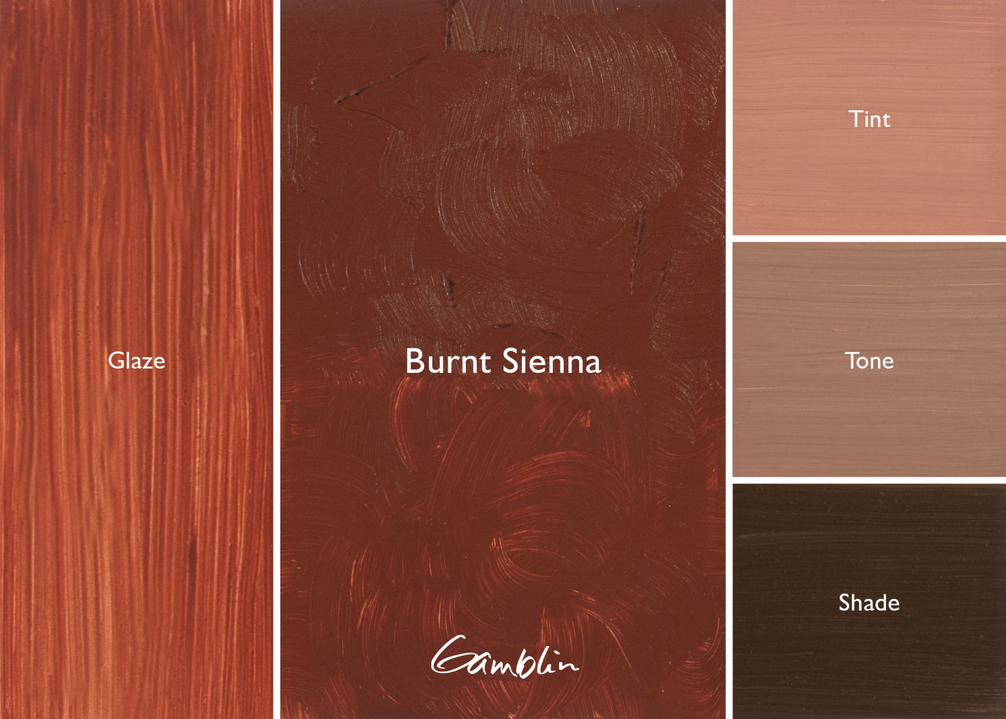 Gamblin 1980 Oil Colour 37ml Series 1 Burnt Sienna