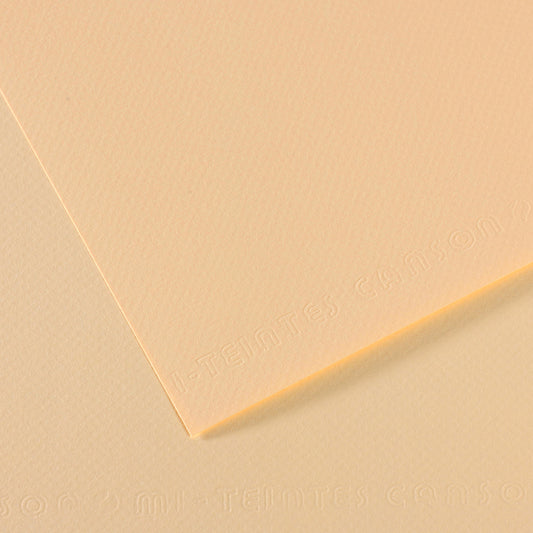 Mi Teintes 160gsm Pastel Paper 50 x 65cm Pkt 10 Ivory 111
