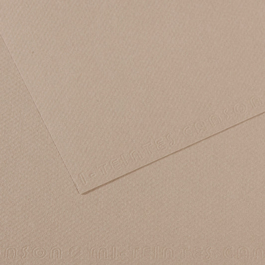 Mi Teintes 160gsm Pastel Paper 50 x 65cm Pkt 10 Flannel Grey 122