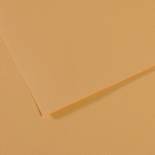 Mi Teintes 160gsm Pastel Paper 50 x 65cm Pkt 10 Oyster 340