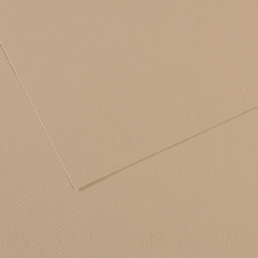 Mi Teintes 160gsm Pastel Paper 50 x 65cm Pkt 10 Pearl 343
