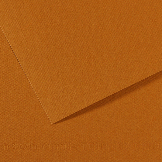 Mi Teintes 160gsm Pastel Paper 50 x 65cm Pkt 10 Havana Clear 502