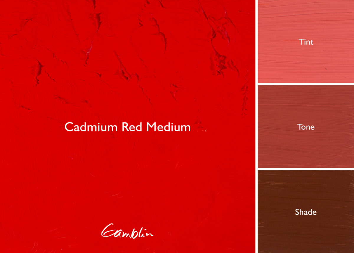 Gamblin Artist Oil 37ml Series 5 Cadmium Red Medium