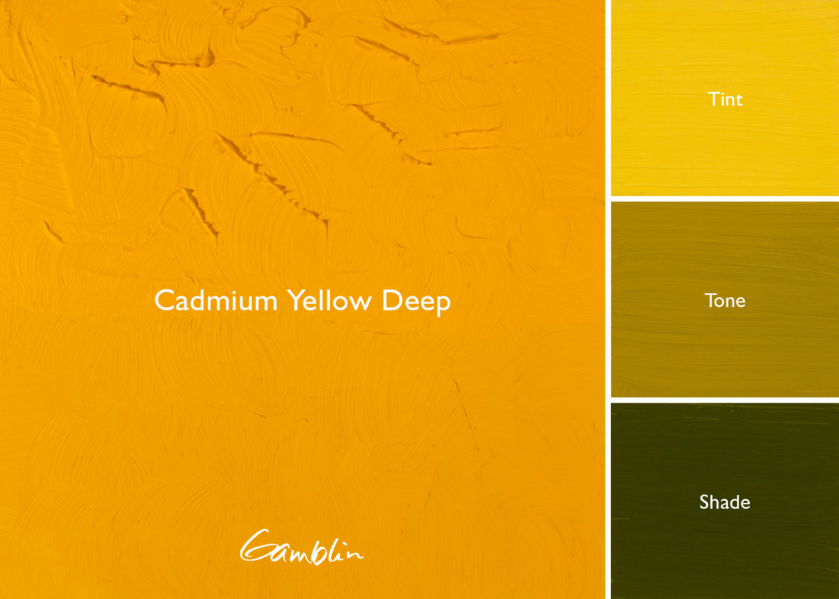 Gamblin Artist Oil 37ml Series 4 Cadmium Yellow Deep