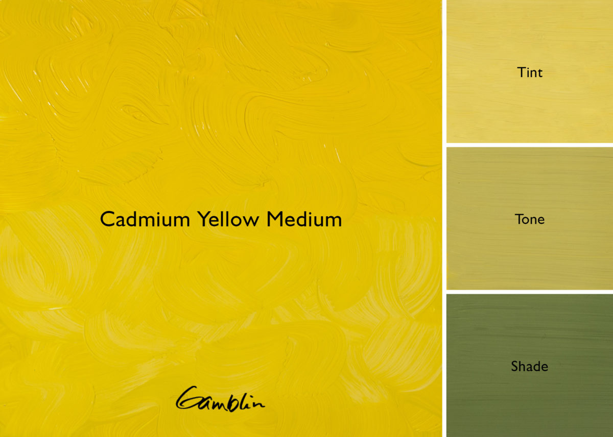 Gamblin Artist Oil 37ml Series 4 Cadmium Yellow Medium