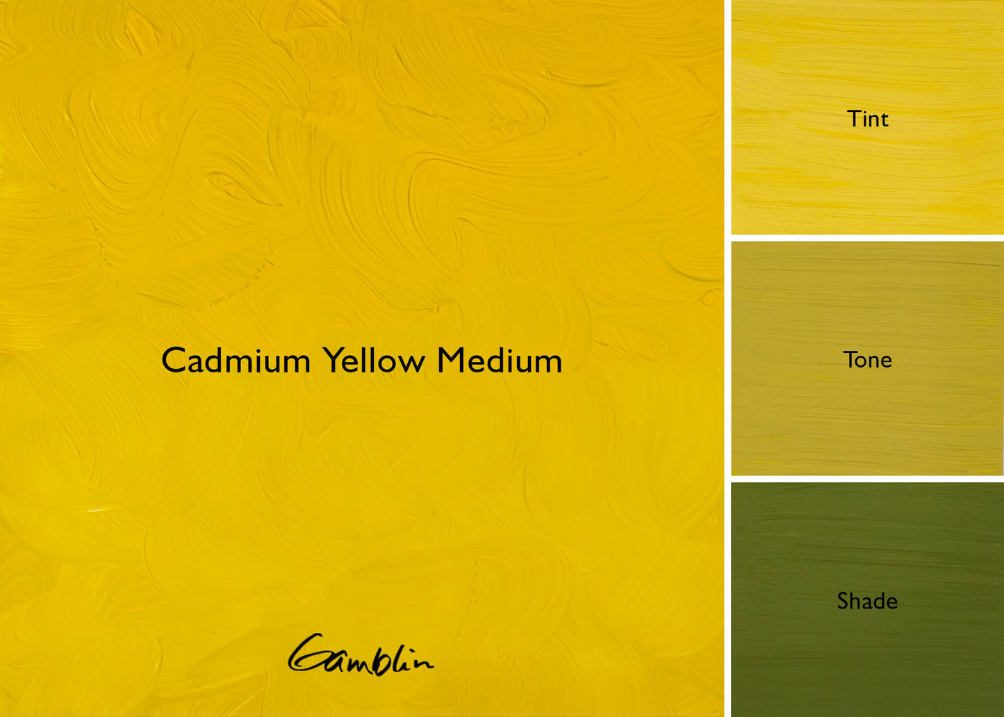 Gamblin 1980 Oil Colour 150ml Cadmium Yellow Medium