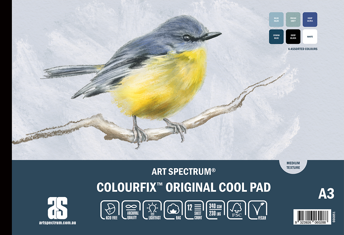 Art Spectrum Colourfix Original Pad A3 Cool 12 Sheets