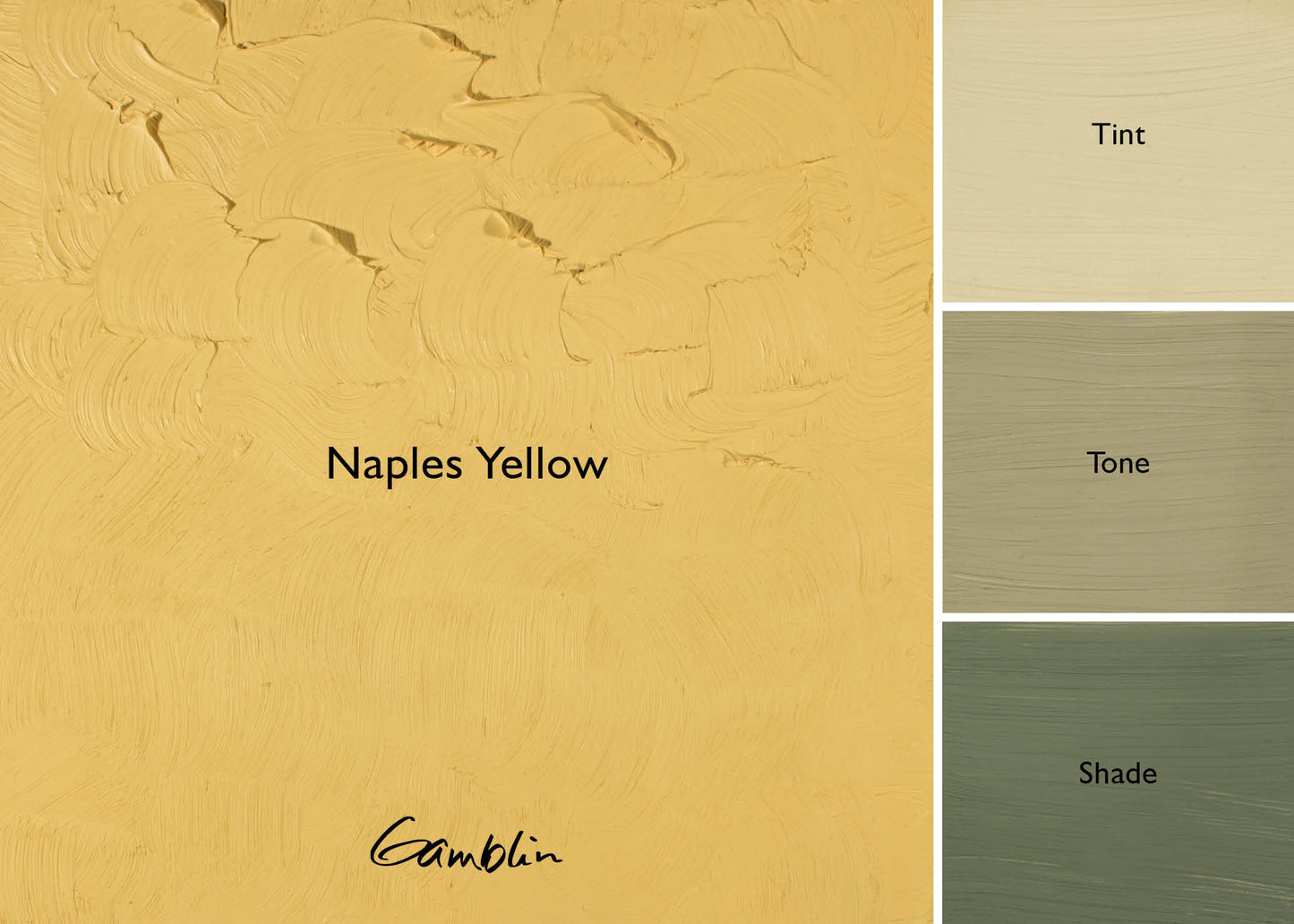 Gamblin 1980 Oil Colour 37ml Series 2 Naples Yellow Hue
