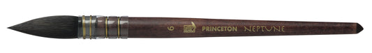 Princeton Neptune Quill Size 6