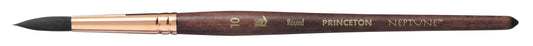 Princeton Neptune Round Size 10