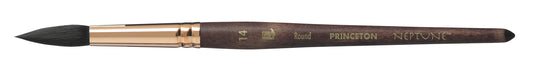 Princeton Neptune Round Size 14