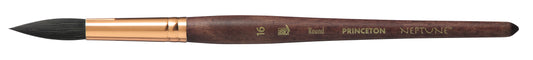 Princeton Neptune Round Size 16