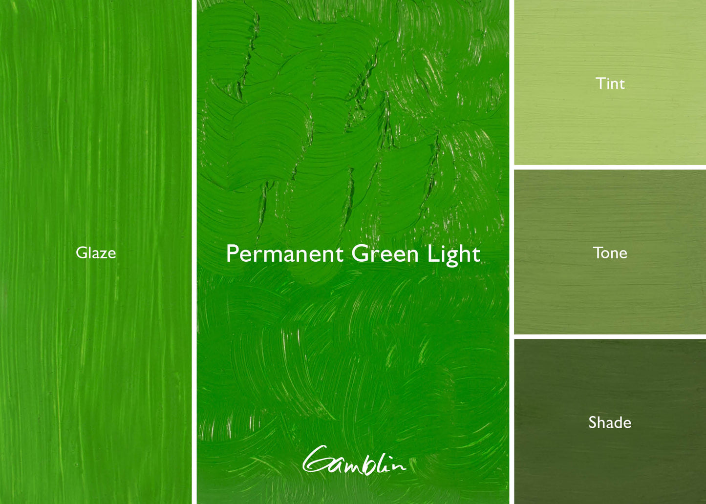 Gamblin 1980 Oil Colour 150ml Permanent Green Light