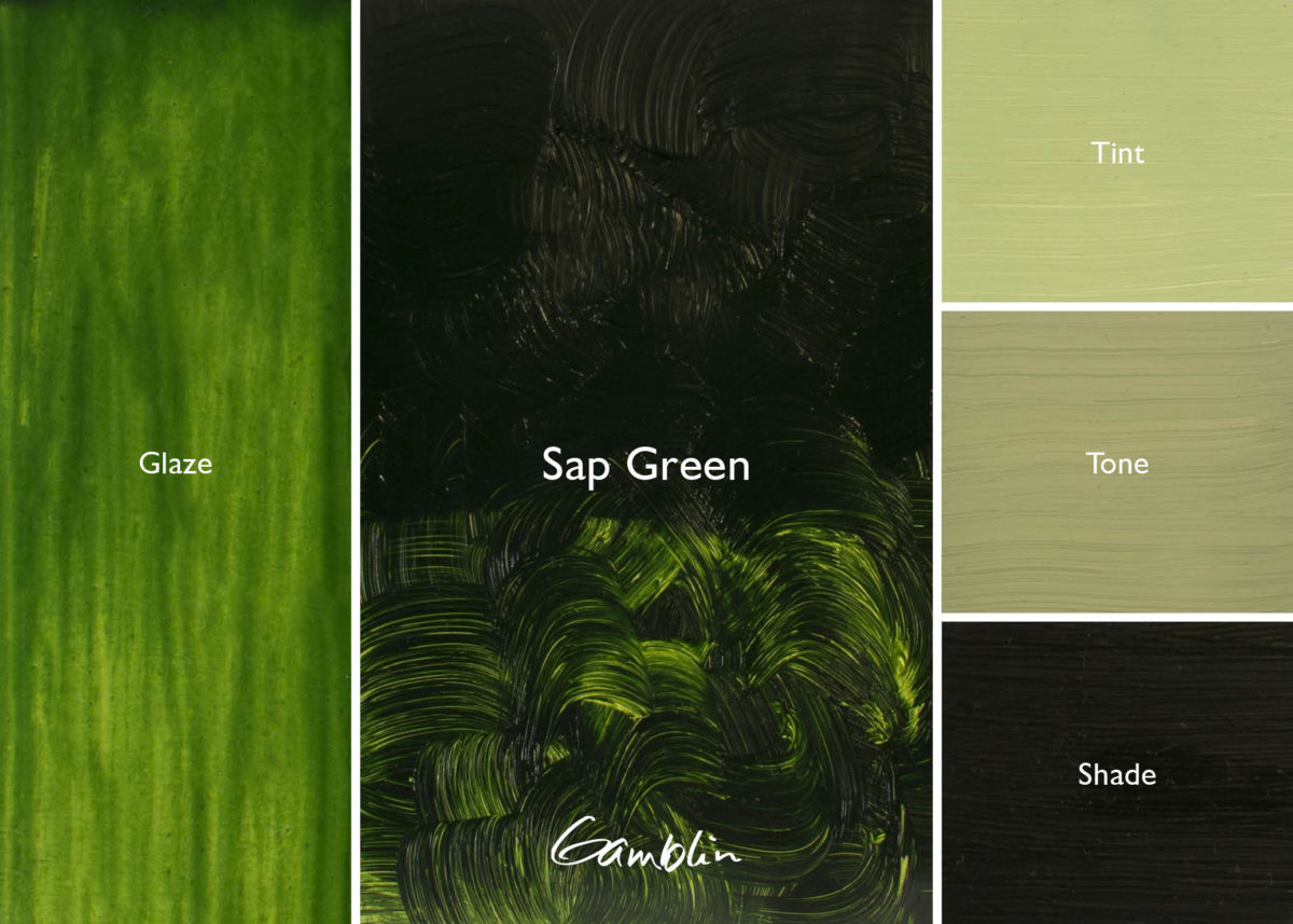 Gamblin Artist Oil 37ml Series 2 Sap Green