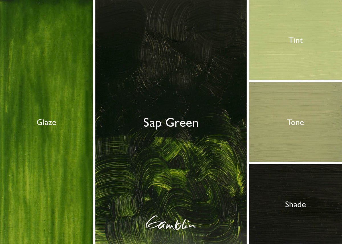 Gamblin 1980 Oil Colour 150ml Sap Green