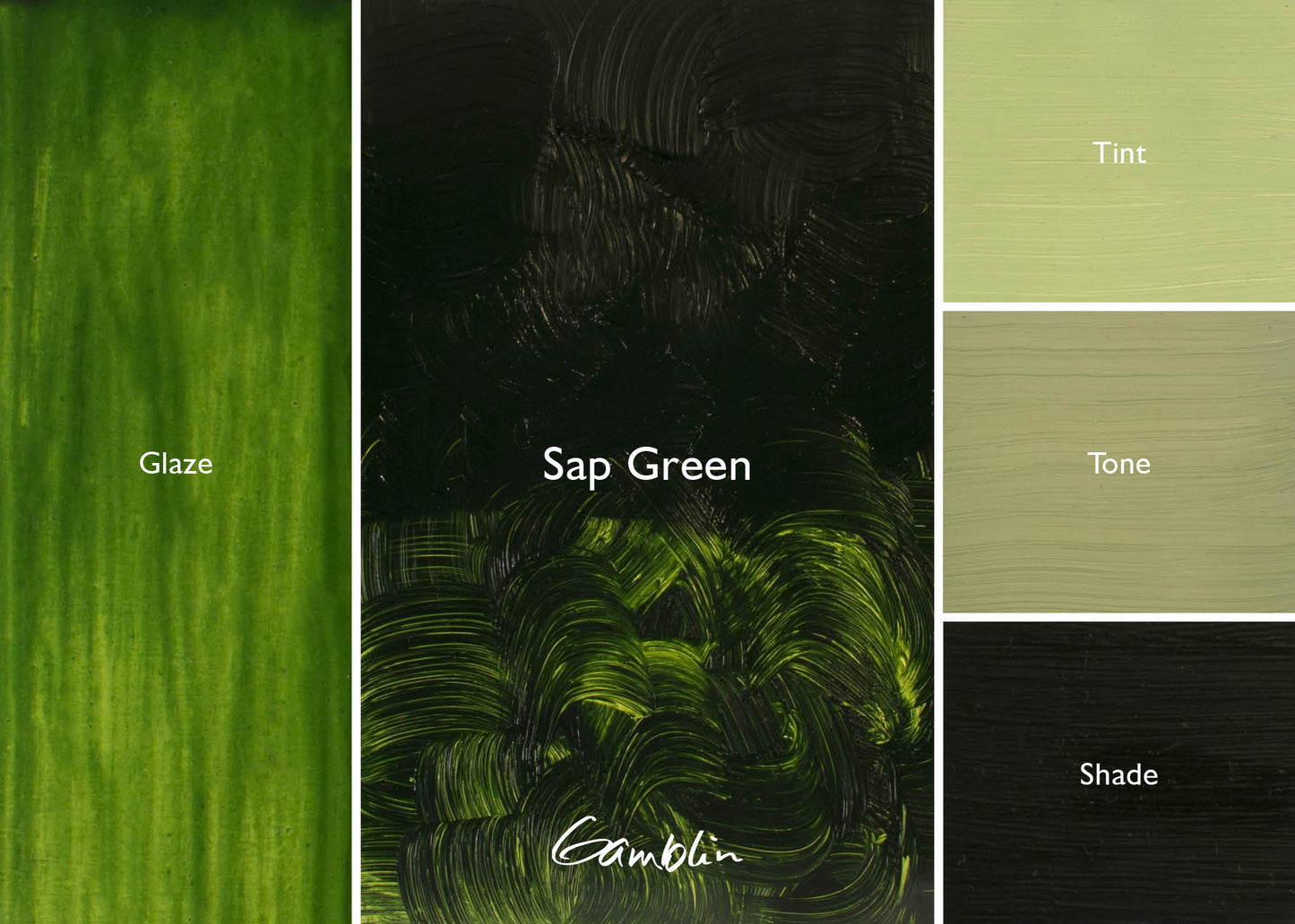 Gamblin 1980 Oil Colour 37ml Series 2 Sap Green