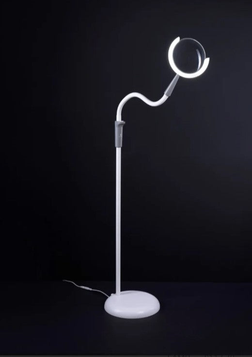 Daylight Magnificent Pro Desk/Floor Lamp
