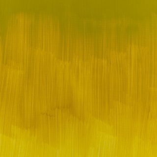 Winsor & Newton Winton Oil Colour 37ml Azo Yellow Green