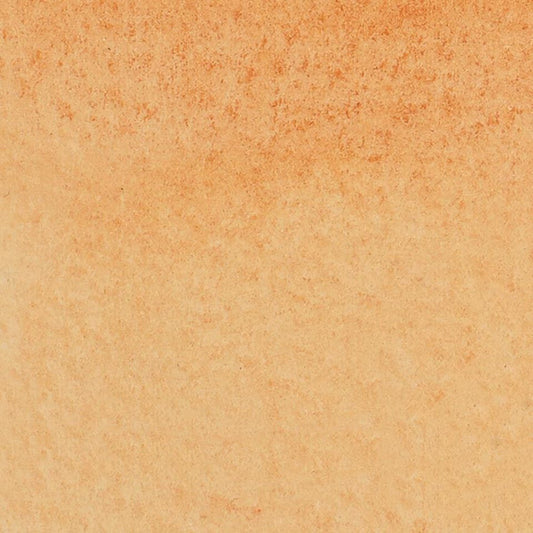 Winsor & Newton Promarker Watercolour Marker Burnt Sienna