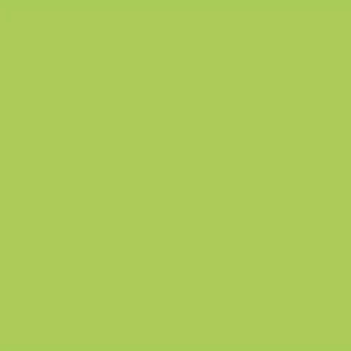 Daler Rowney Designer’s Gouache 15ml 348 Light Green